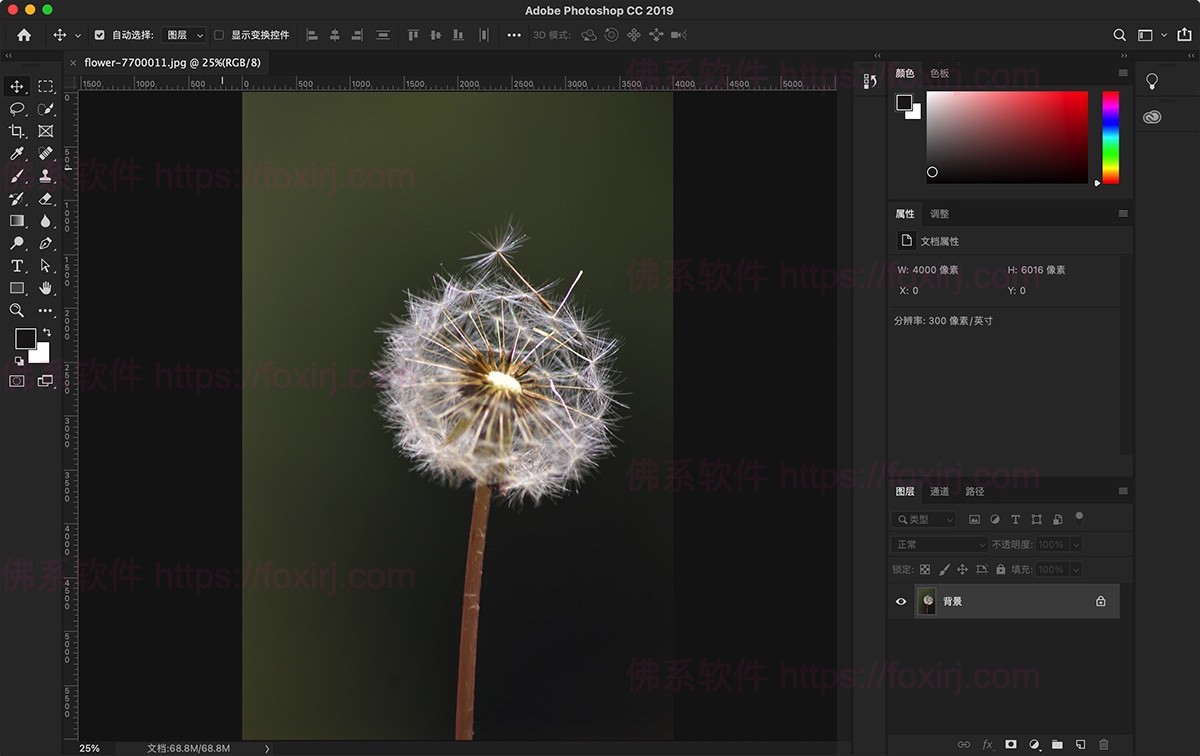 Adobe Photoshop 2025 26.10.0.7 +Neural Filters 图像编辑处理设计-佛系软件 Adobe Photoshop 2025 26.10.0.7 +Neural Filters 图像编辑处理设计-佛系软件