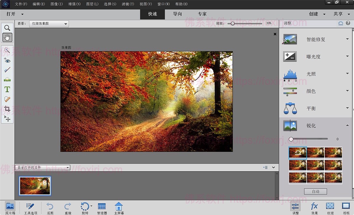Adobe Photoshop Elements 2025 25.2.0.148 图像编辑处理-佛系软件 Adobe Photoshop Elements 2025 25.2.0.148 图像编辑处理-佛系软件