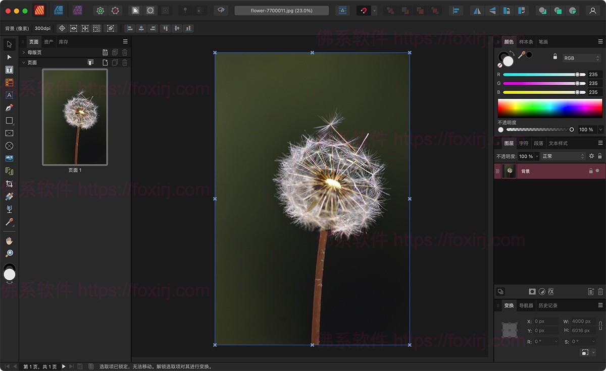 Affinity Publisher 2.6.3.3322 页面布局设计-佛系软件 Affinity Publisher 2.6.3.3322 页面布局设计-佛系软件