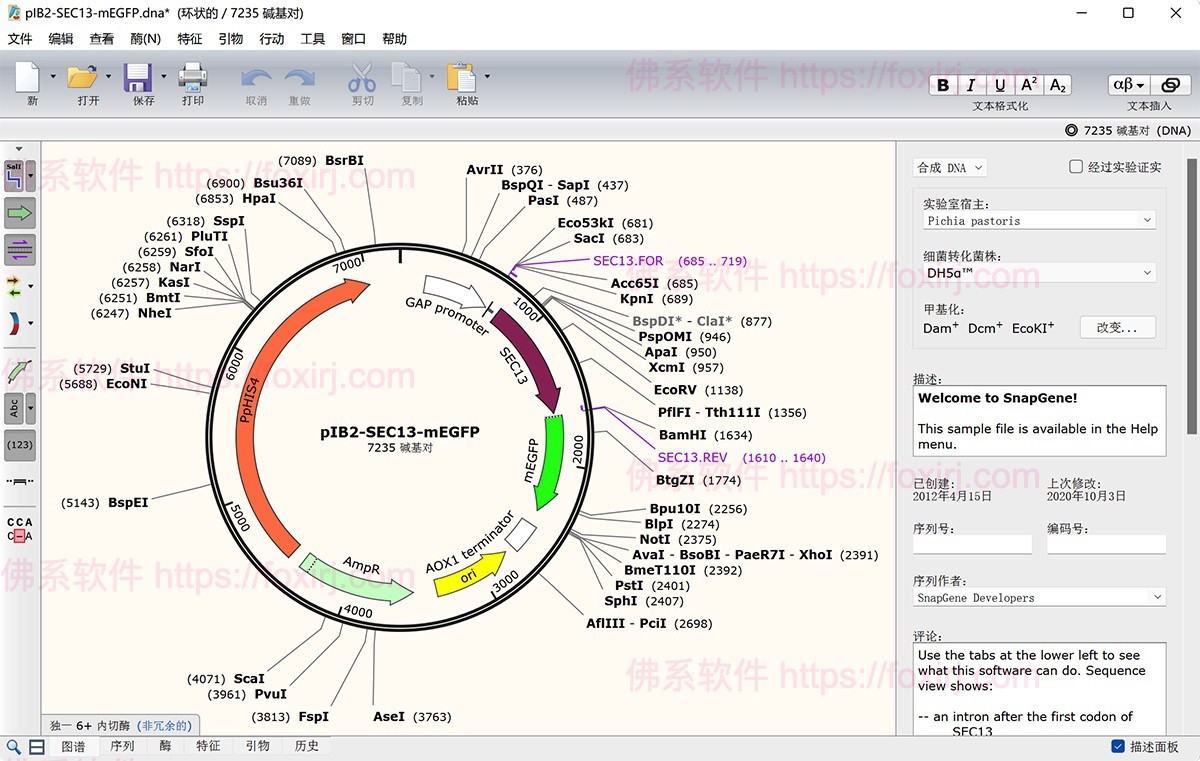SnapGene 5.3.1 DNA序列生物分析-佛系软件 SnapGene 5.3.1 DNA序列生物分析-佛系软件