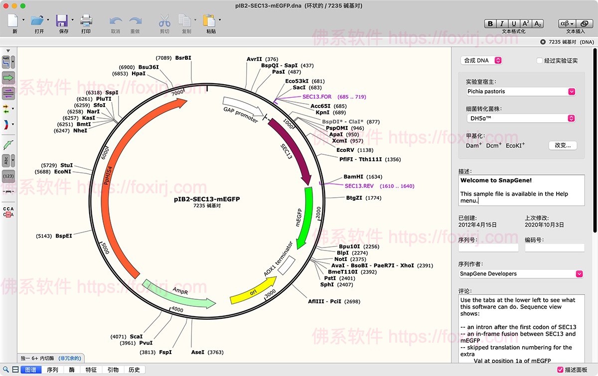 SnapGene 5.3.1 DNA序列生物分析-佛系软件 SnapGene 5.3.1 DNA序列生物分析-佛系软件