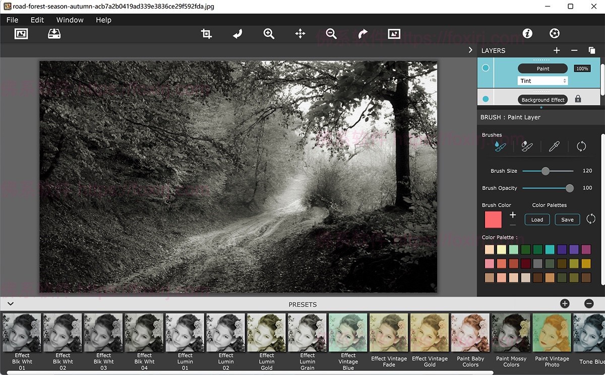 JixiPix Hand Tint Pro 1.0.25 图片调色修图-佛系软件 JixiPix Hand Tint Pro 1.0.25 图片调色修图-佛系软件