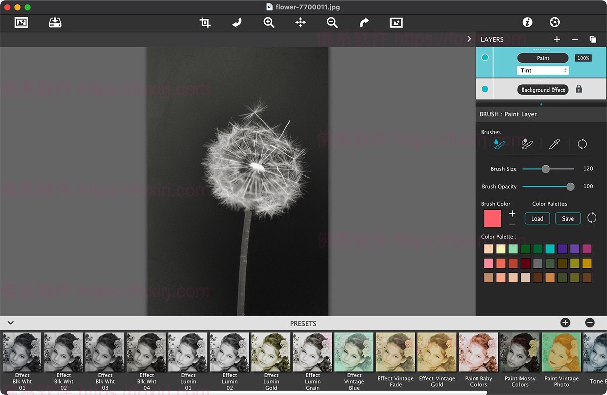 JixiPix Hand Tint Pro 1.0.25 图片调色修图-佛系软件 JixiPix Hand Tint Pro 1.0.25 图片调色修图-佛系软件
