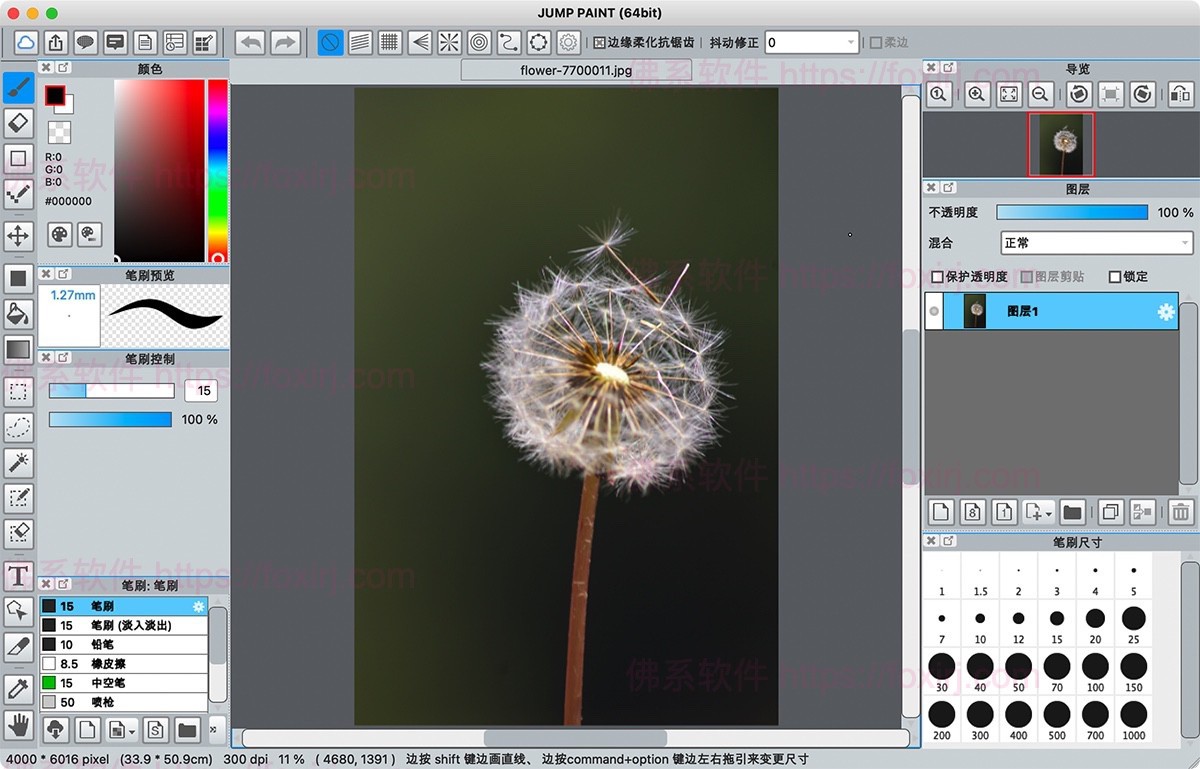 Jump Paint 6.1 漫画绘图设计