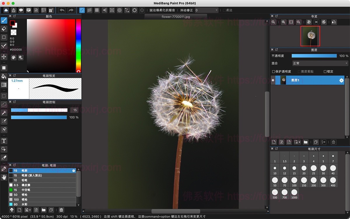 MediBang Paint Pro 29.1 漫画插画绘图设计
