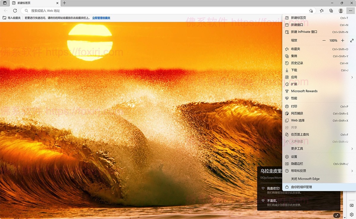 Microsoft Edge 118.0.2088.69 增强版-佛系软件 Microsoft Edge 118.0.2088.69 增强版-佛系软件