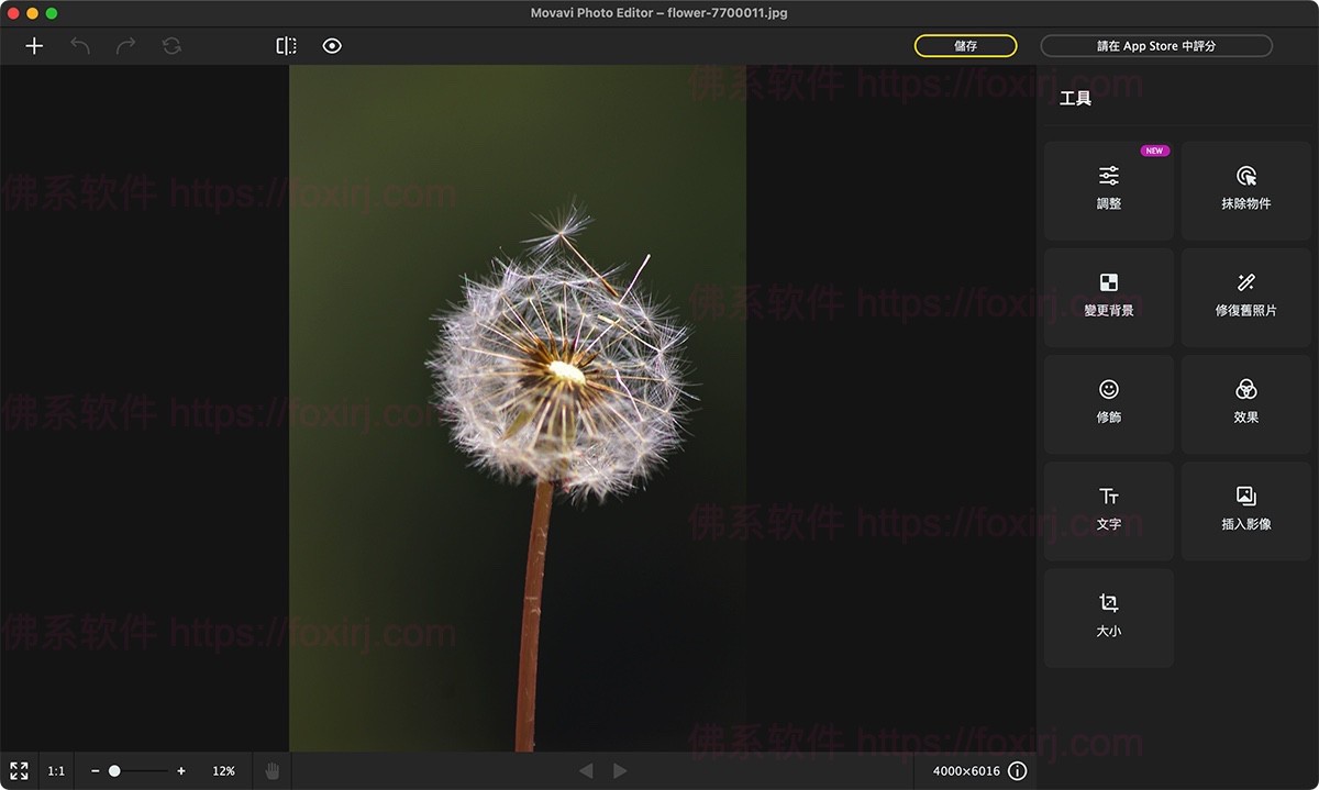 Movavi Photo Editor 23.0.3 MAS 照片编辑处理
