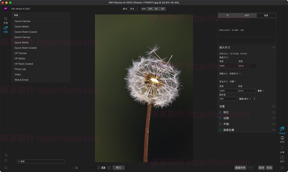 ON1 Resize AI 2026 20.0.0.17265 图片无损缩放