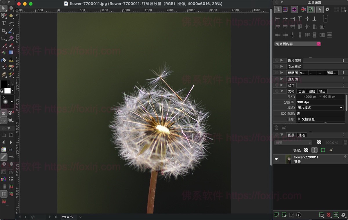 PhotoLine 24.01 图像编辑处理