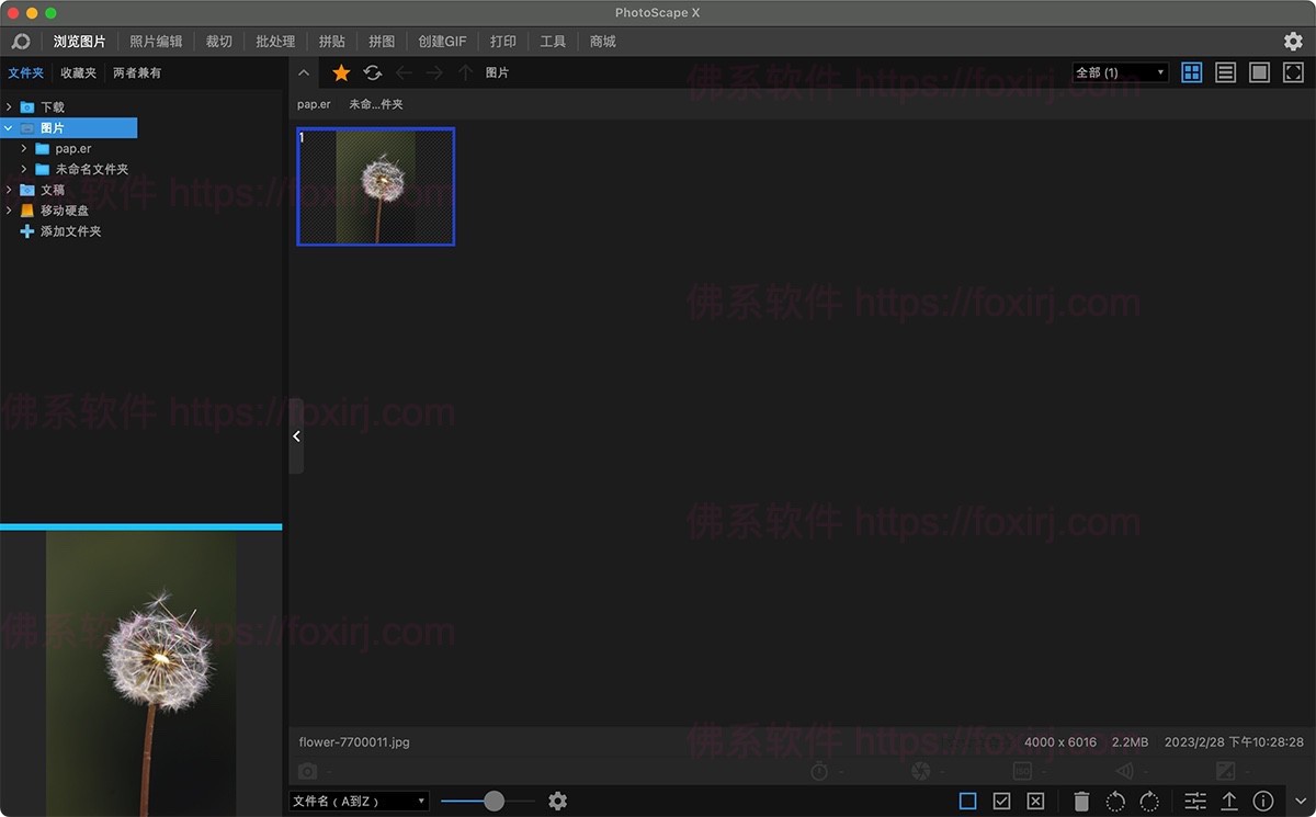 PhotoScape X Pro 4.2.1 MAS 图像编辑处理