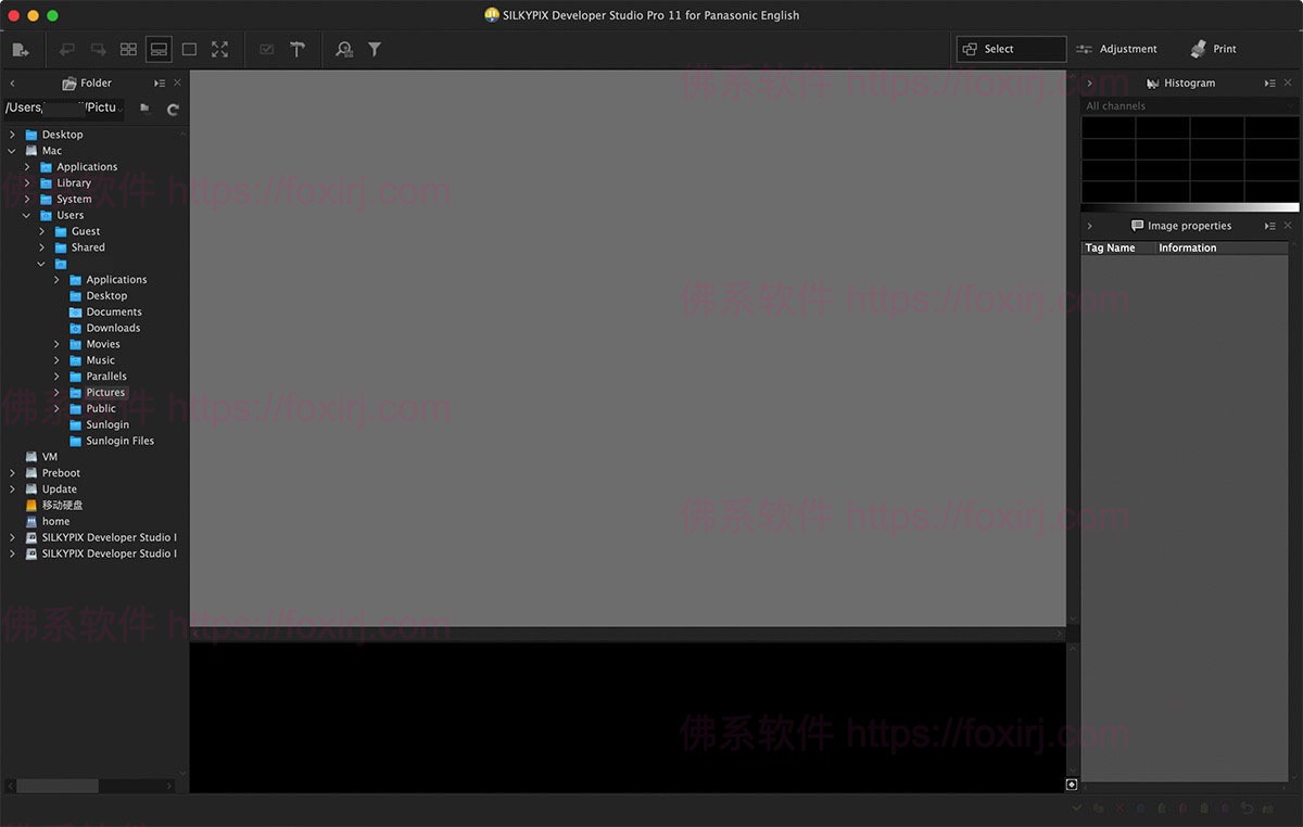 SILKYPIX Developer Studio Pro for Panasonic 11.3.13.0 松下相机图片处理-佛系软件 SILKYPIX Developer Studio Pro for Panasonic 11.3.13.0 松下相机图片处理-佛系软件