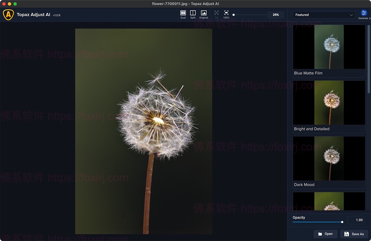 Topaz Adjust AI 1.0.6 HDR图片滤镜渲染增强-佛系软件 Topaz Adjust AI 1.0.6 HDR图片滤镜渲染增强-佛系软件