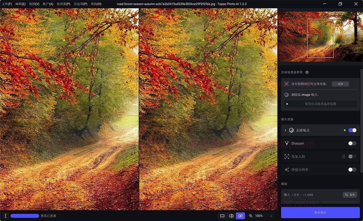 Topaz Photo Pro 1.0.0 AI图片智能降噪-佛系软件 Topaz Photo Pro 1.0.0 AI图片智能降噪-佛系软件