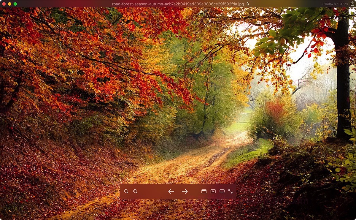 Pixea Plus 7.0.1 MAS 图像管理查看-佛系软件 Pixea Plus 7.0.1 MAS 图像管理查看-佛系软件