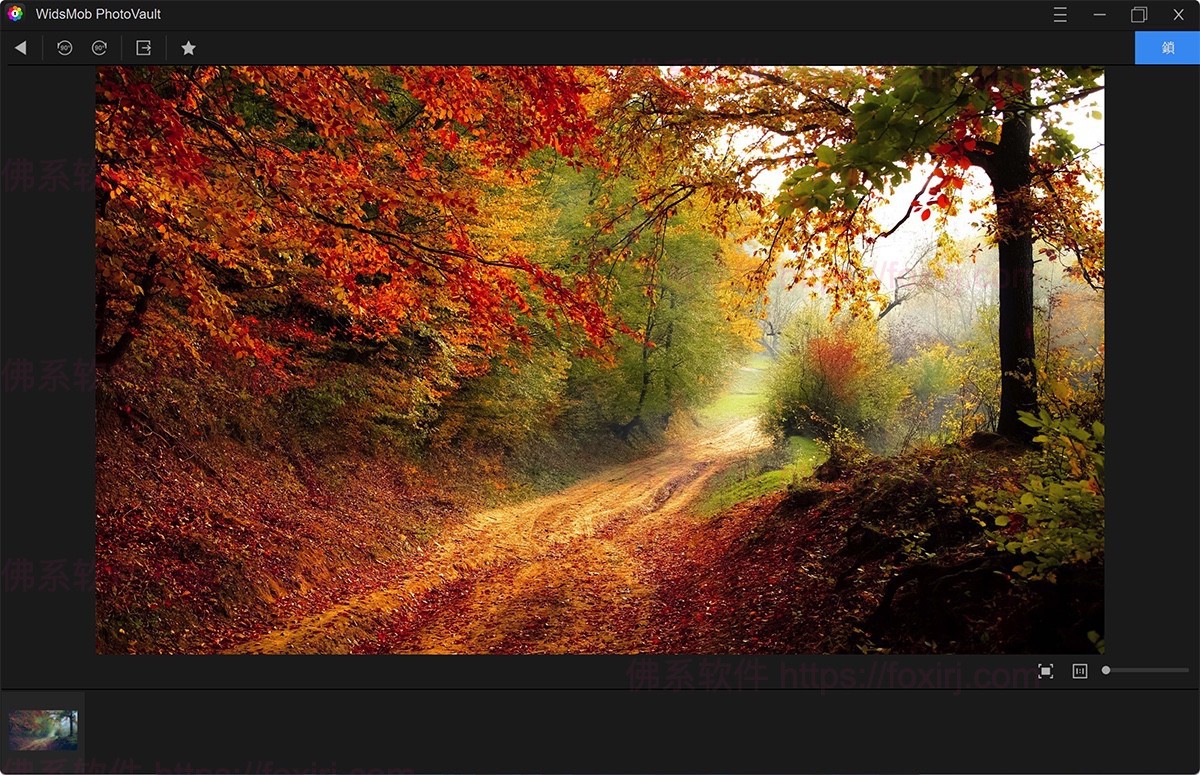 WidsMob PhotoVault 1.7.0.78 照片加密管理