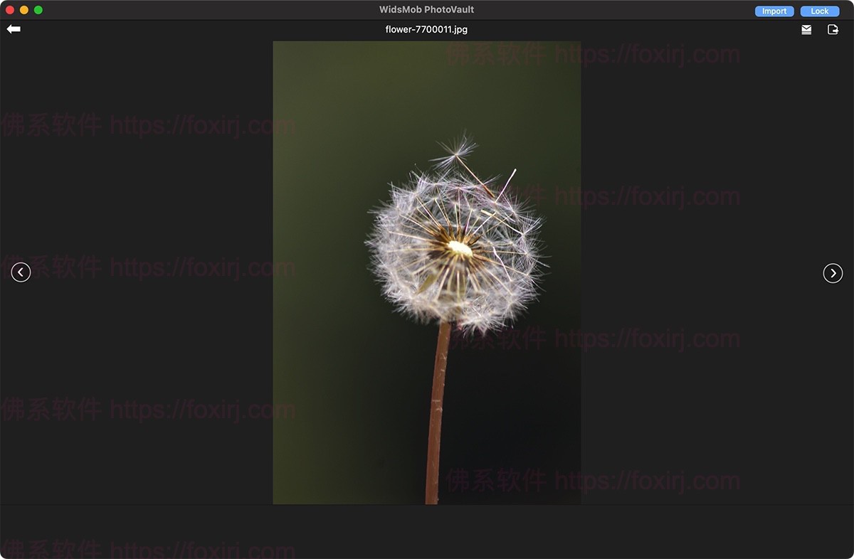 WidsMob PhotoVault 3.9 照片加密管理