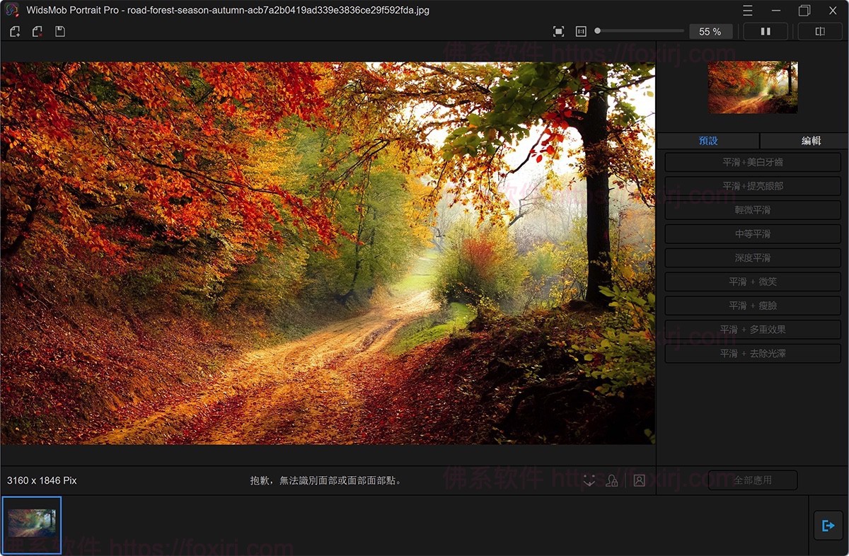 WidsMob Portrait Pro 2.2.0.210 人像照片编辑处理