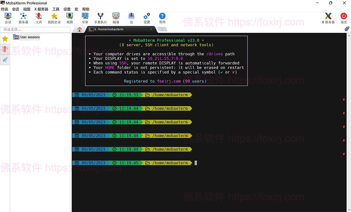 MobaXterm Professional 25.2.0.5296 终端模拟器/SSH客户端