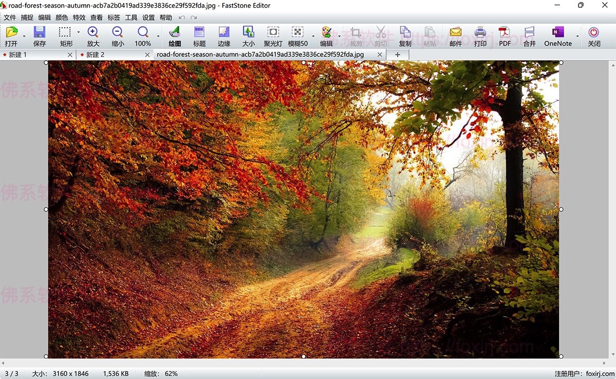 FastStone Capture 11.0 屏幕截图录像-佛系软件 FastStone Capture 11.0 屏幕截图录像-佛系软件
