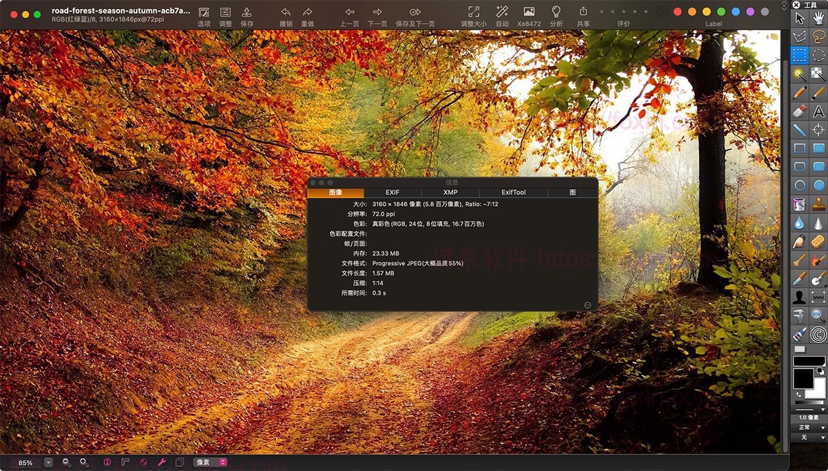 GraphicConverter 12.4.2.6956 图像管理查看-佛系软件 GraphicConverter 12.4.2.6956 图像管理查看-佛系软件