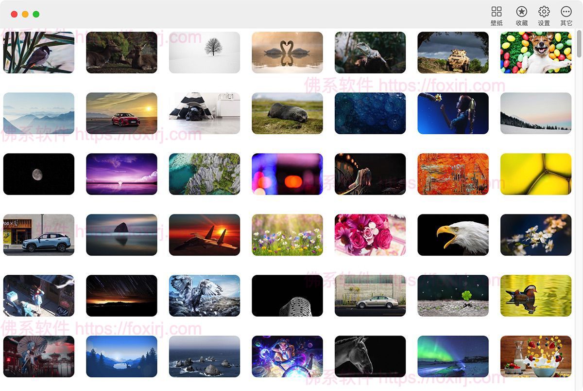 壁纸专家4K Wallpaper 2.7 MAS 4K高清壁纸-佛系软件 壁纸专家4K Wallpaper 2.7 MAS 4K高清壁纸-佛系软件