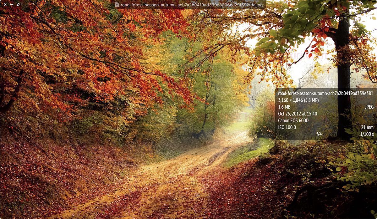 LilyView 1.6 MAS 无边框图片浏览器