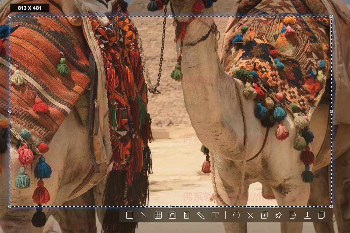 Longshot 1.4.7 MAS 截图贴图标注-佛系软件 Longshot 1.4.7 MAS 截图贴图标注-佛系软件