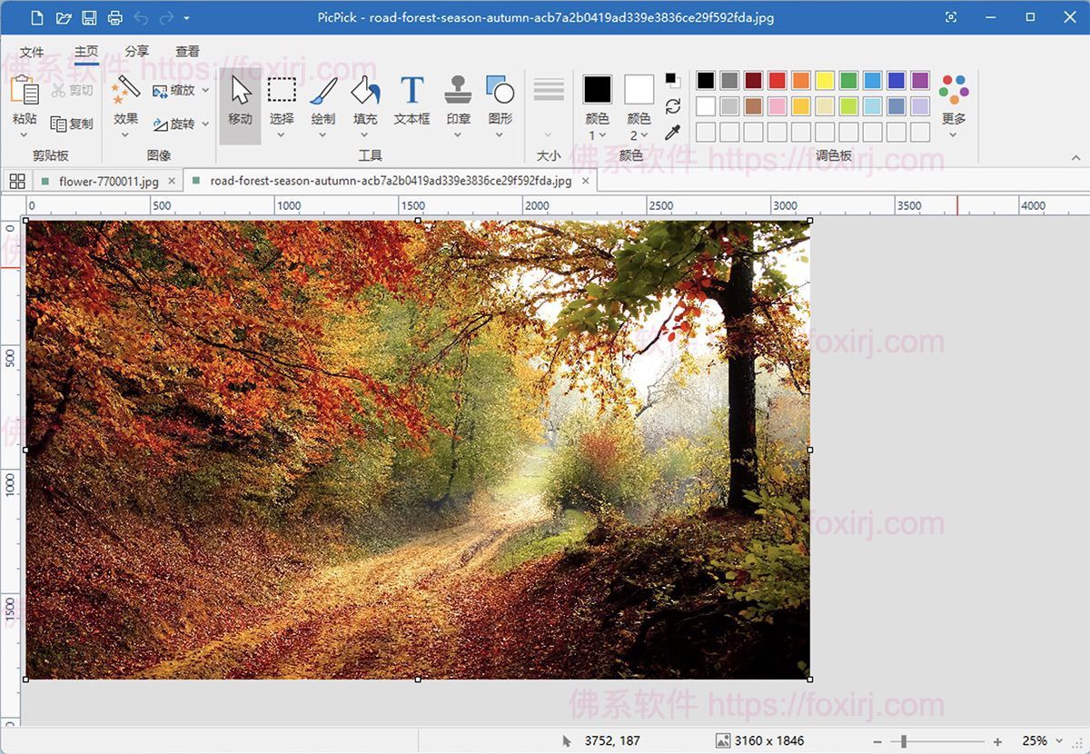 PicPick Professional 7.4 全能屏幕截图编辑