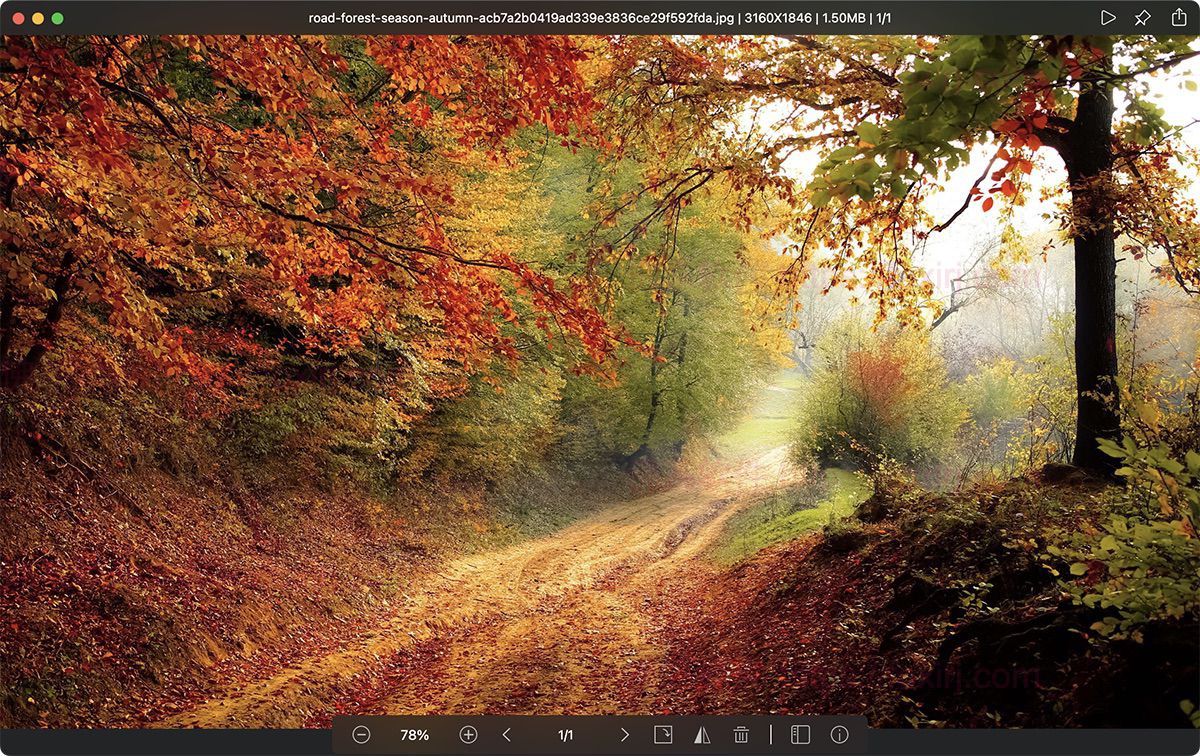 Picview Pro 1.4.9 MAS 图像管理查看-佛系软件 Picview Pro 1.4.9 MAS 图像管理查看-佛系软件