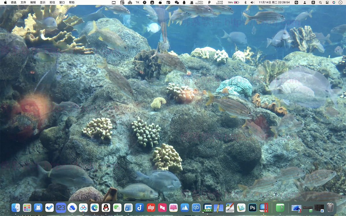 Aquarium 4K 1.1.0 MAS 4K高清屏保-佛系软件 Aquarium 4K 1.1.0 MAS 4K高清屏保-佛系软件