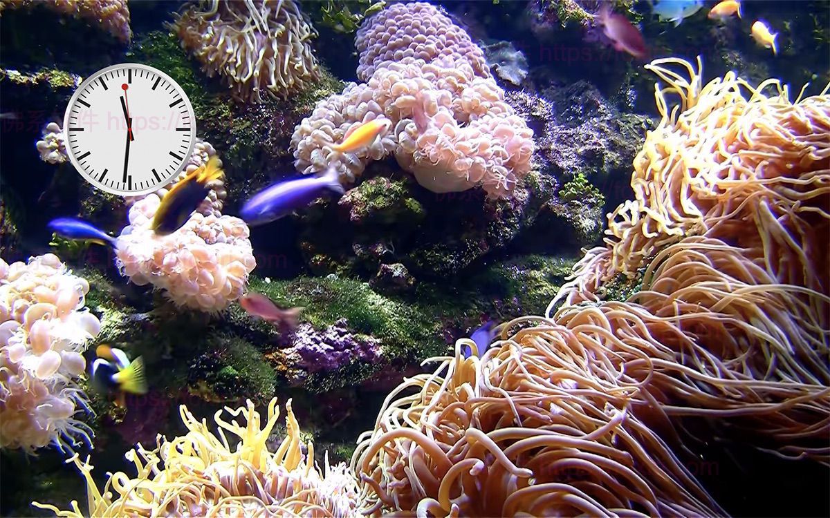 Desktop Aquarium Wallpapers 2.2.0 MAS 水族馆锁屏动态壁纸-佛系软件 Desktop Aquarium Wallpapers 2.2.0 MAS 水族馆锁屏动态壁纸-佛系软件