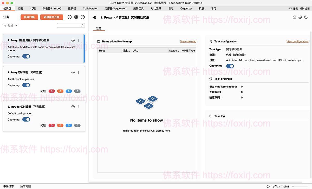 Burp Suite Professional 2025.8.4 网络渗透测试