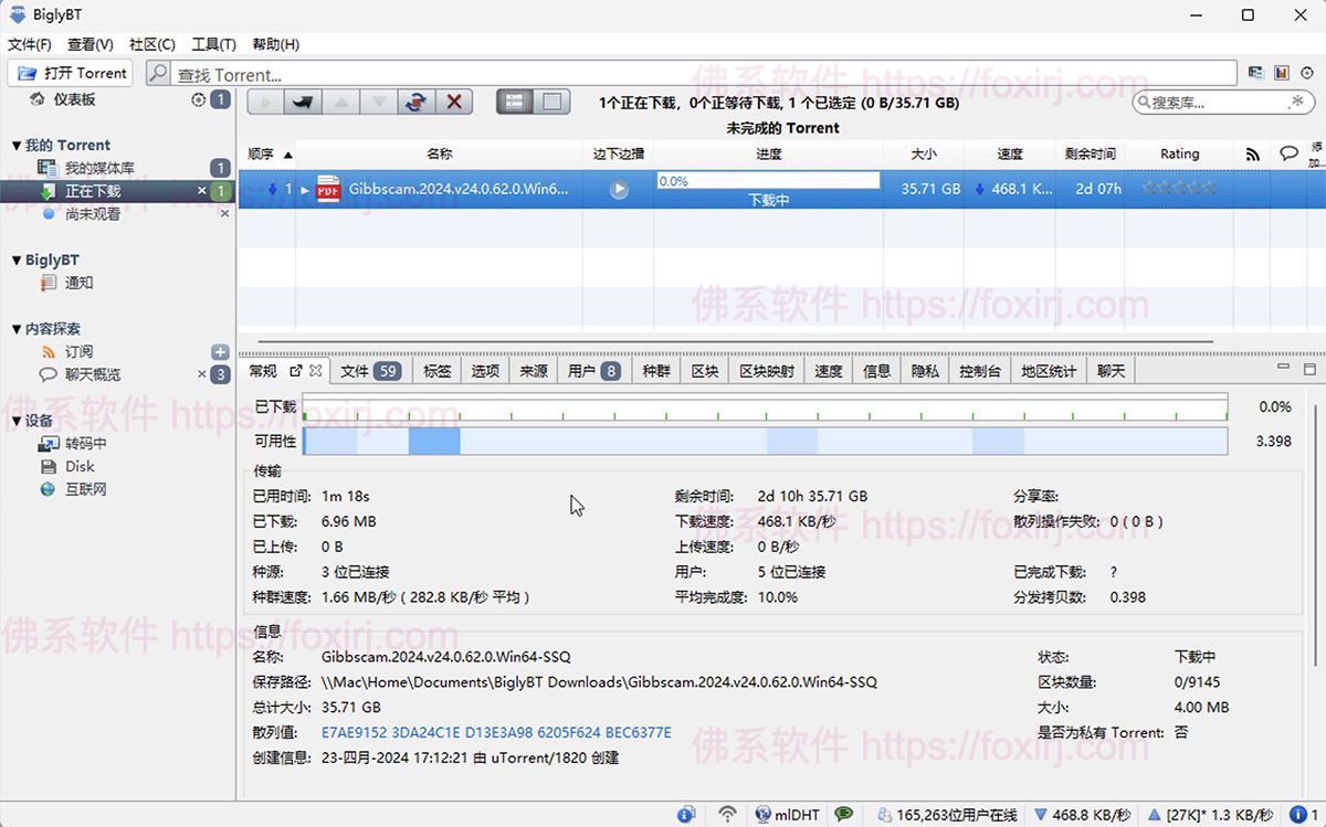 BiglyBT 3.9.0.0 BT种子下载器