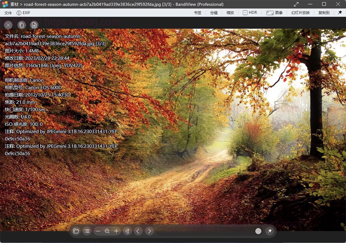 BandiView Professional 7.20 图像管理查看-佛系软件 BandiView Professional 7.20 图像管理查看-佛系软件
