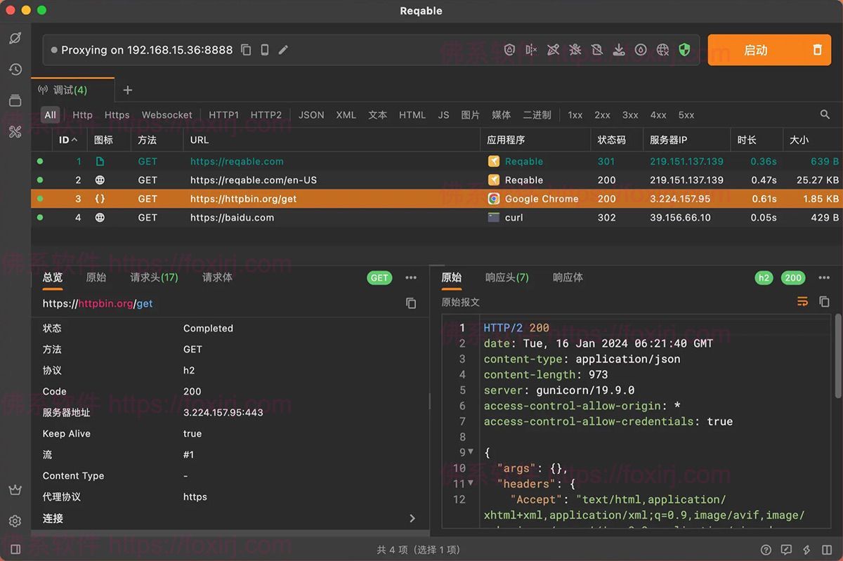 Reqable 2.33.12 协议抓包与API调试