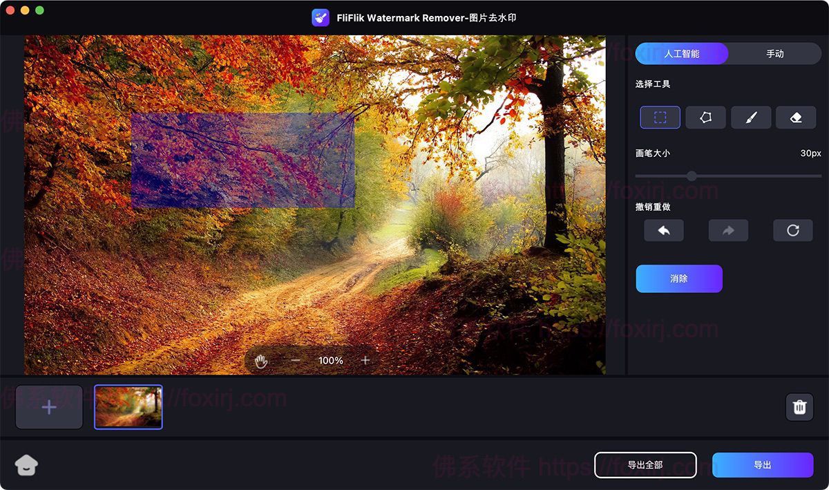 FliFlik Watermark Remover 6.0.0 图片AI去水印-佛系软件 FliFlik Watermark Remover 6.0.0 图片AI去水印-佛系软件