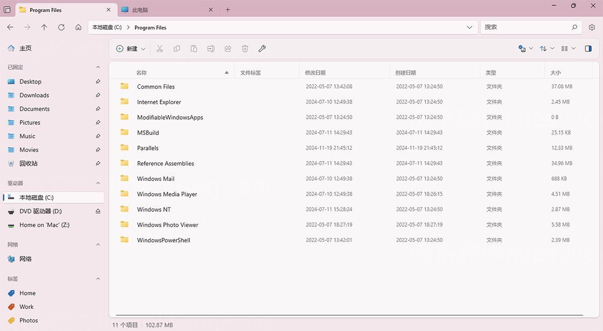 Files App 4.0.11 现代化资源管理器-佛系软件 Files App 4.0.11 现代化资源管理器-佛系软件