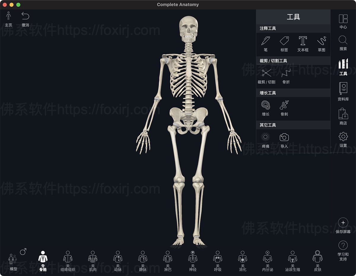Complete Anatomy 11.0.0 MAS 3D人体解剖学图谱